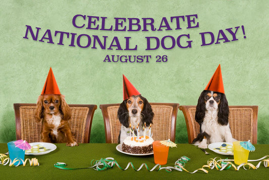 Celebrating Happy Dog Day: A Tribute to Our Loyal Companions